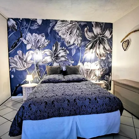 La Bulle Bleue - Parking-terrasse-aeoport-meet